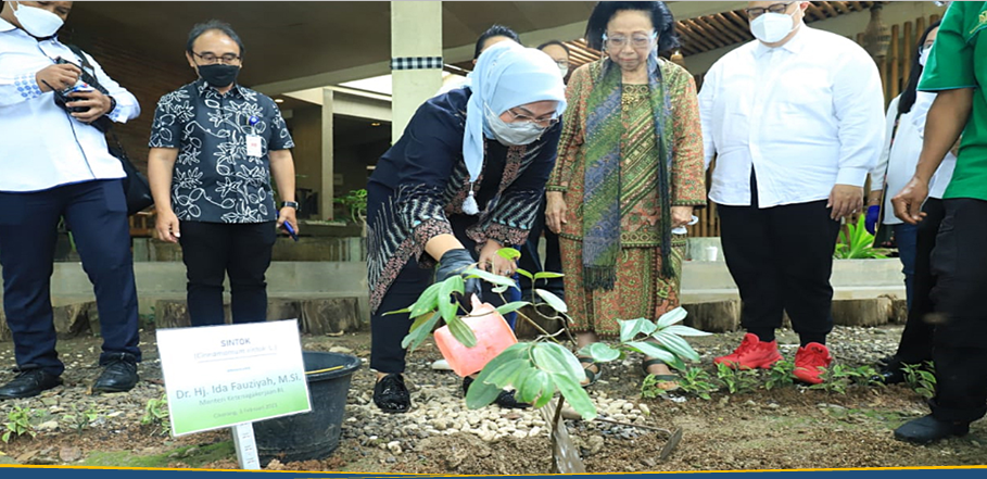 Kemnaker Gandeng Martha Tilaar Kembangkan OT